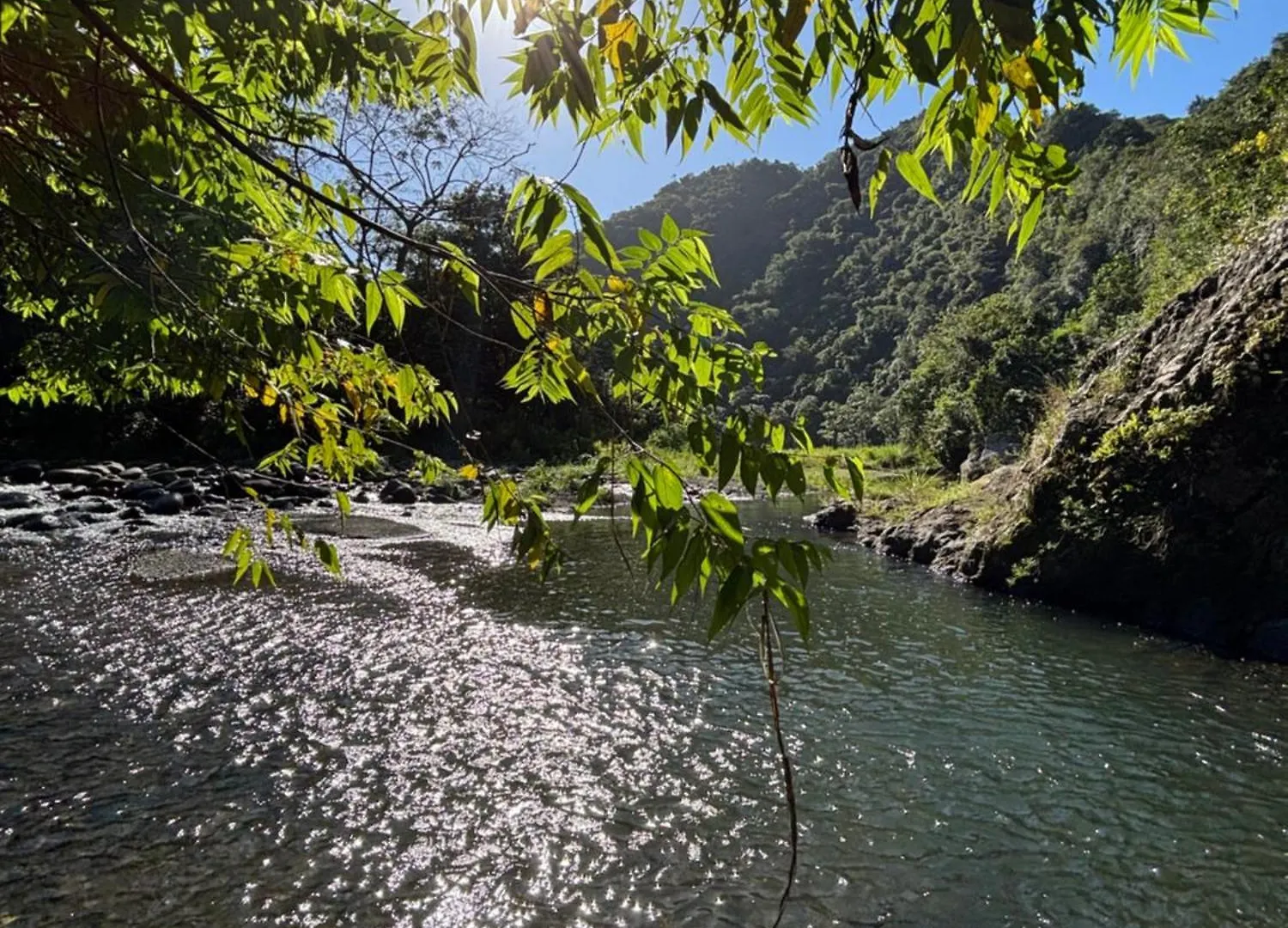Country house Casita De Campo En El Rio Guest House Ciales Puerto Rico